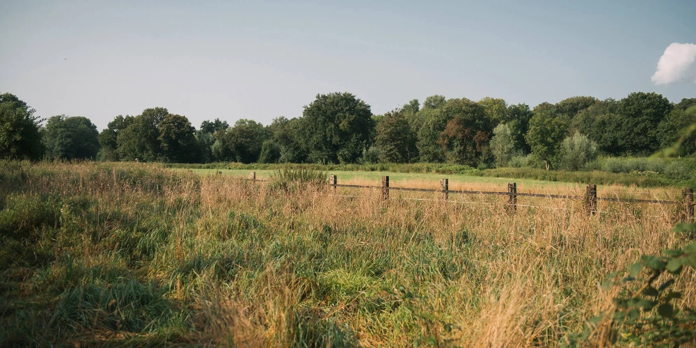 Weite Wiesenlandschaft mit einem alten Holzzaun und Bäumen im Hintergrund