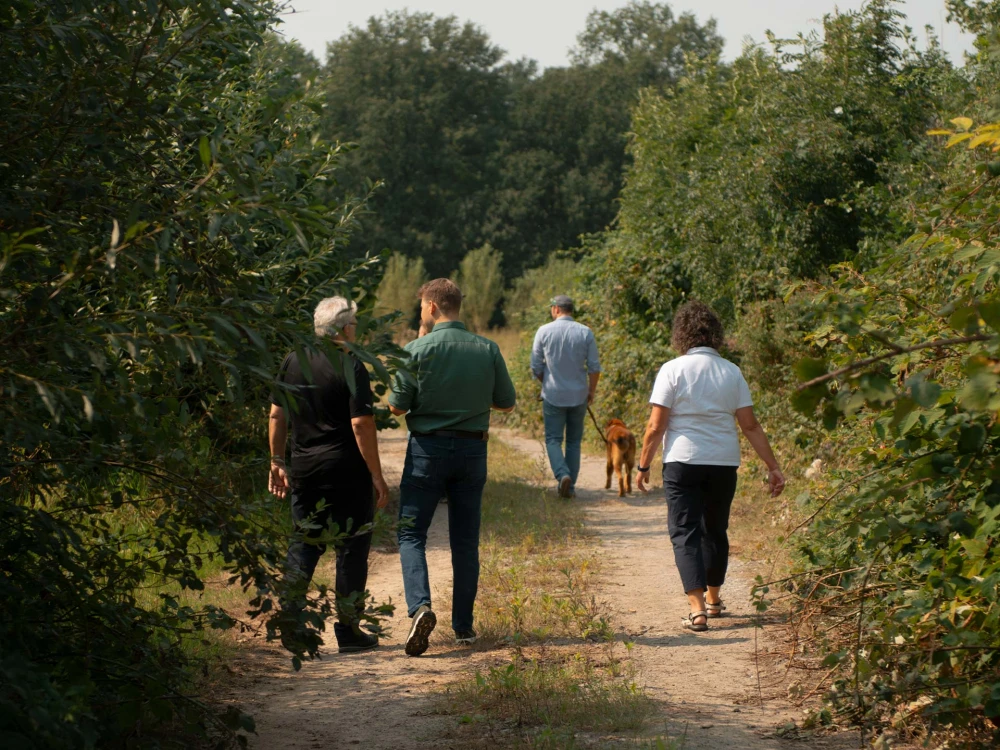 Vier Erwachsene und ein Hund gehen gemeinsam einen Waldweg entlang – umgeben von dichtem Grün.