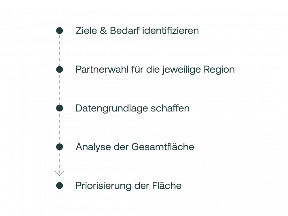 Liste von strategischen Schritten in einem Projekt: Ziele & Bedarf identifizieren, Partnerwahl für die jeweilige Region, Datengrundlage schaffen, Analyse der Gesamtfläche, Priorisierung der Fläche