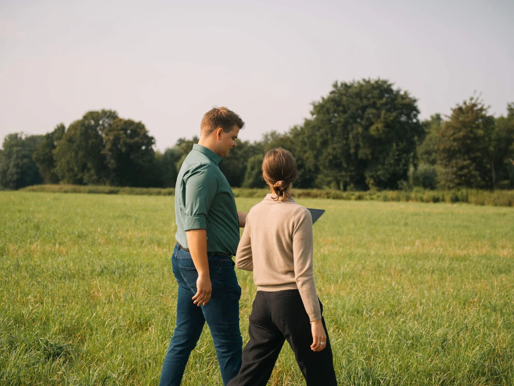 Zwei Personen gehen Hand in Hand durch ein grünes Feld, von hinten gesehen