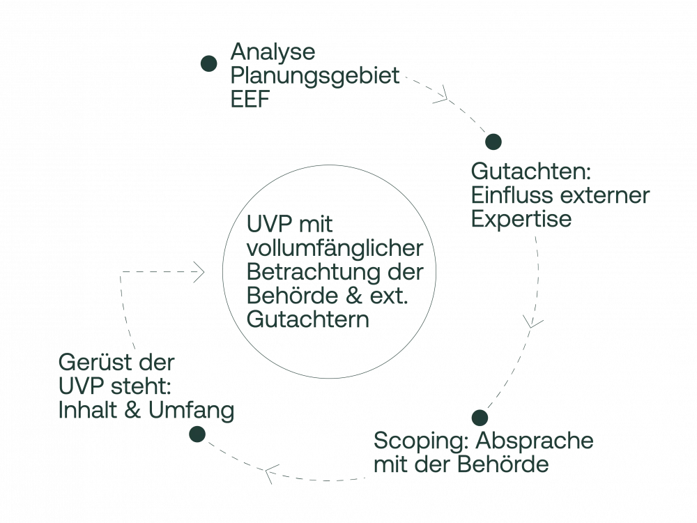 Diagramm zeigt den Prozess der Umweltverträglichkeitsprüfung mit verschiedenen Phasen wie Analyse, Gutachten und Scoping