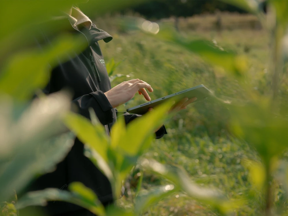 Person in einem dunklen Mantel benutzt ein Tablet hinter grünen Blättern im Freien