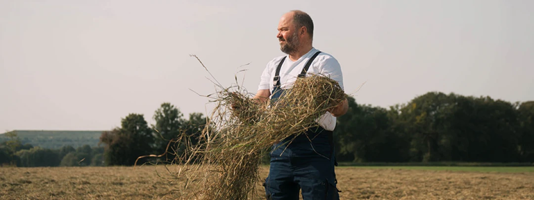 Bearded man in suspenders holding hay in a field