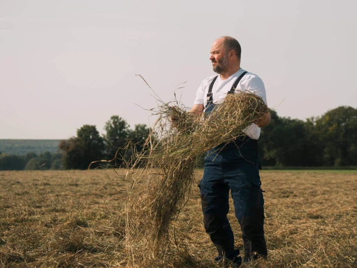 Older bearded man lifting hay in a meadow